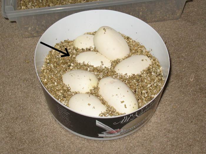 2011_001_WI_02.jpg