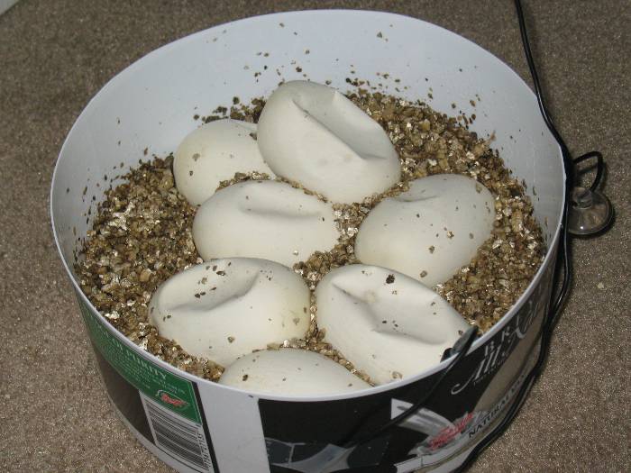2011_001_WI_04.jpg