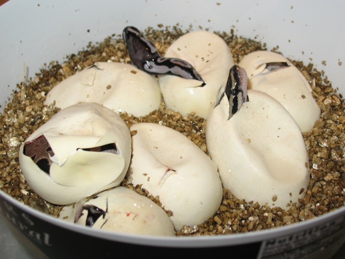 2011_001_WI_05.jpg