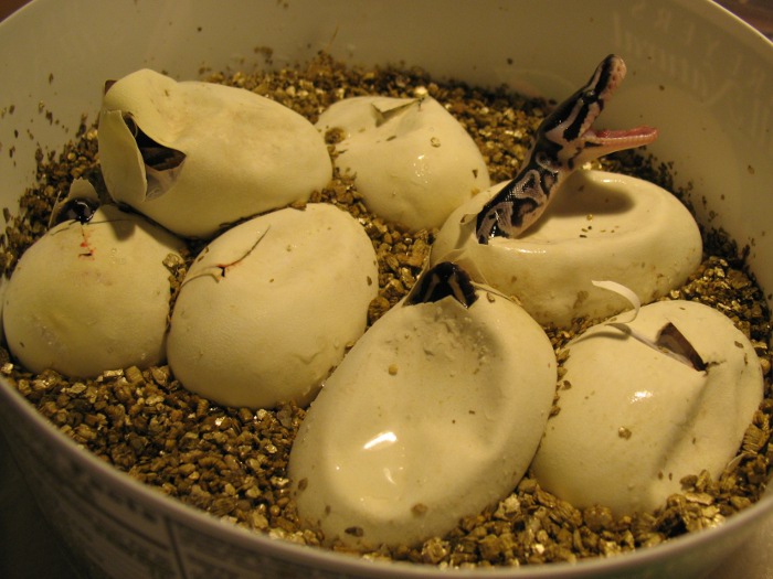2011_001_WI_06.jpg