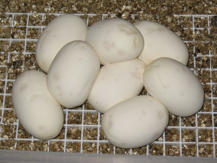 2012_001_TiUus_01.jpg