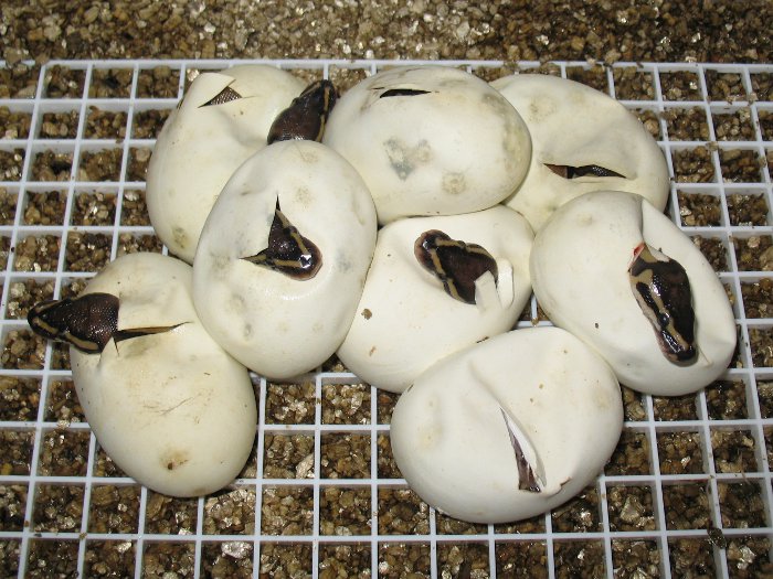 2012_001_TiUus_02.jpg