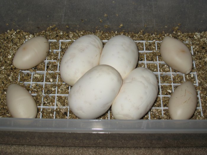 2012_004_IrU_01.jpg