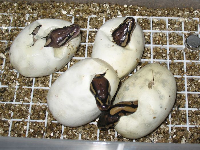 2012_004_IrU_02.jpg